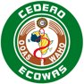 //broadreachcorporation.com/wp-content/uploads/2018/10/cedero-logo.png